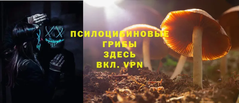 Псилоцибиновые грибы GOLDEN TEACHER Бикин